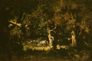 Fourré boisé